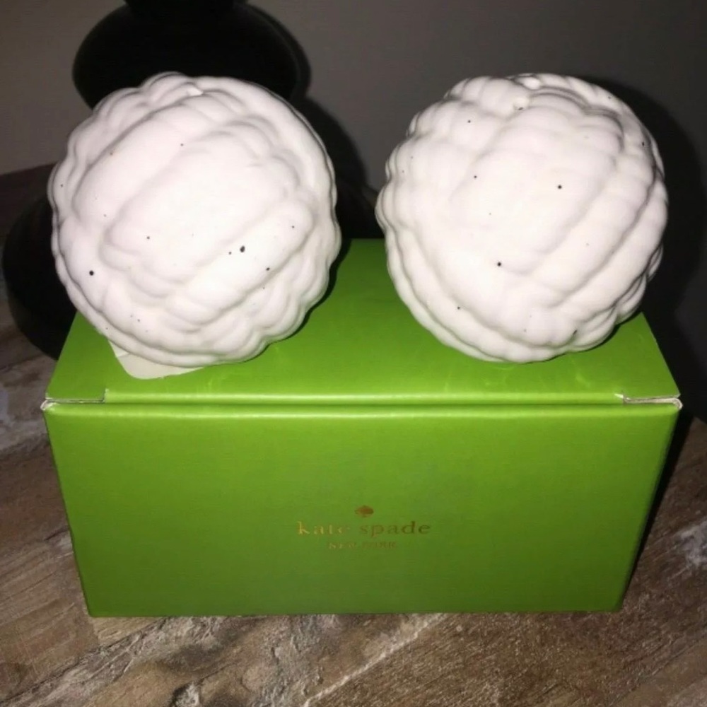 LENOX Kate Spade Nautical Salt &Pepper Shaker Set